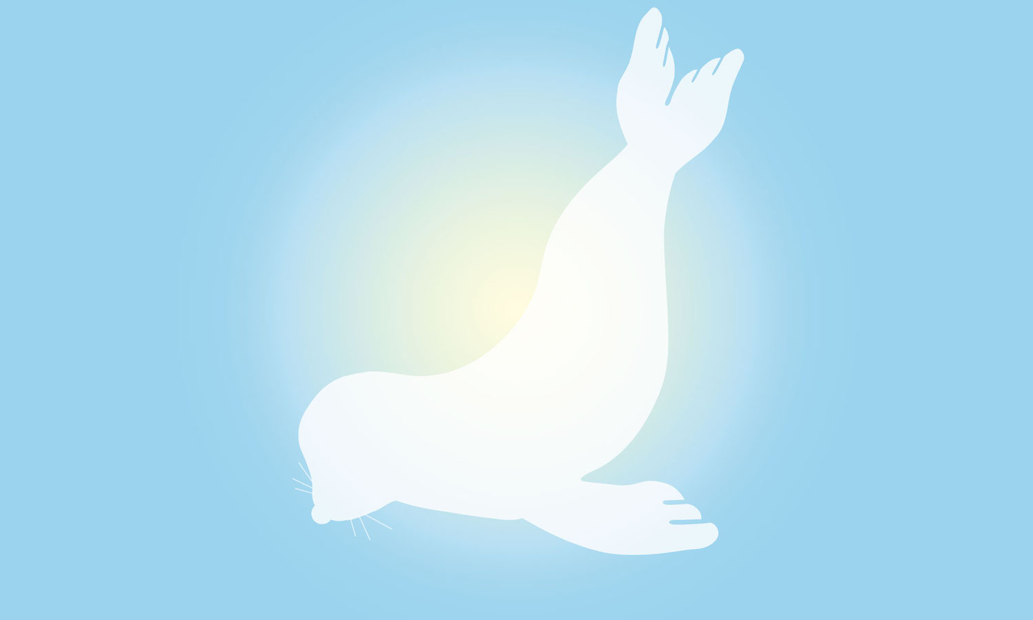 Lonely Seal Film, Screenplay and Music Festival